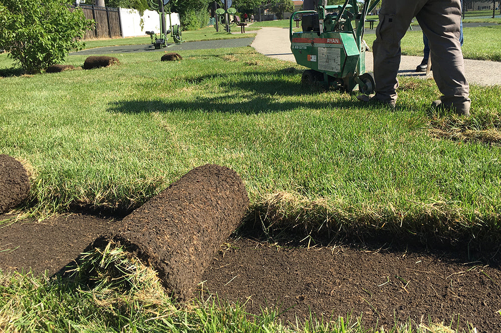 A Helpful Guide to Removing Turfgrass