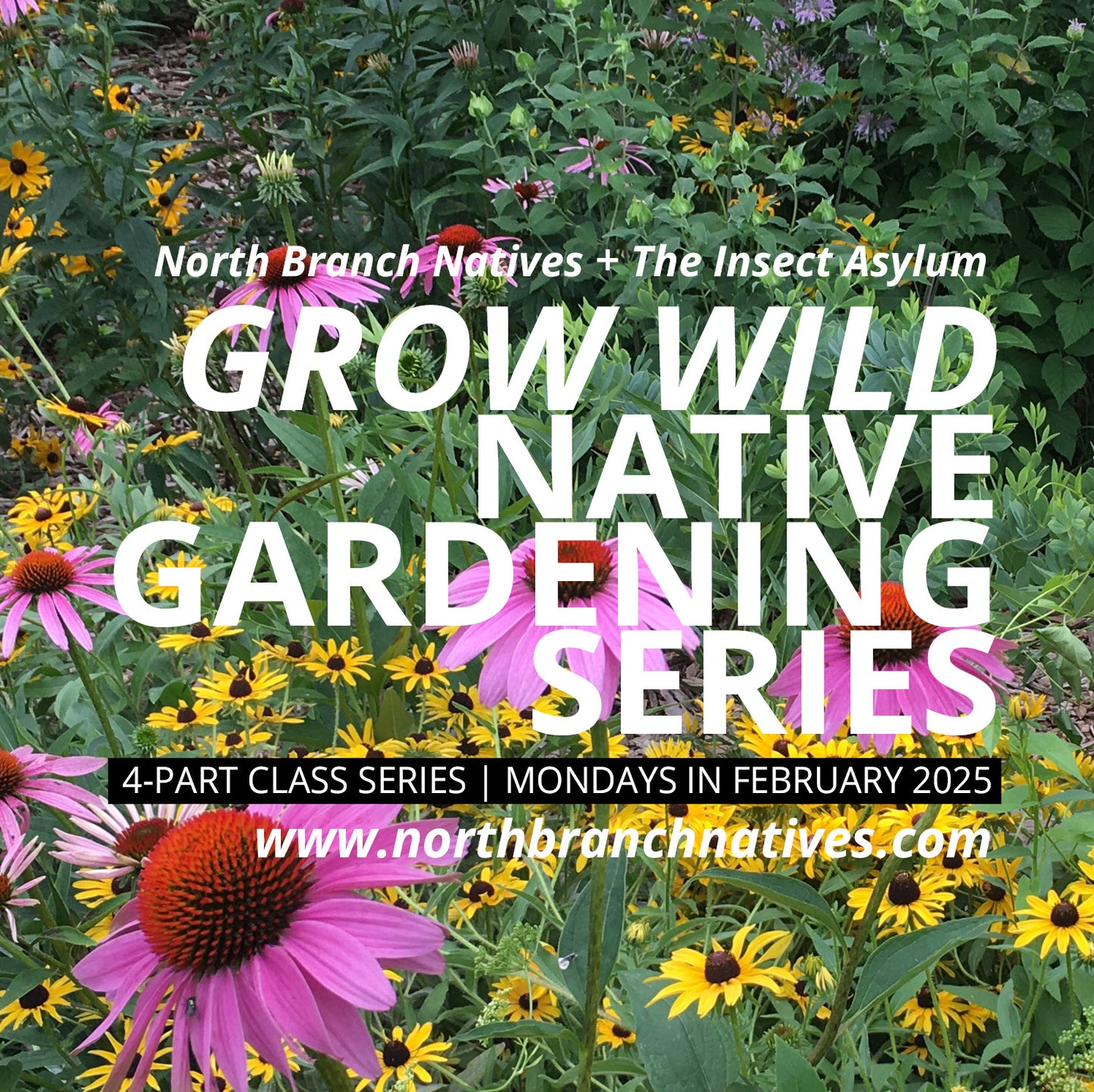 GROW WILD: Native Gardening Series