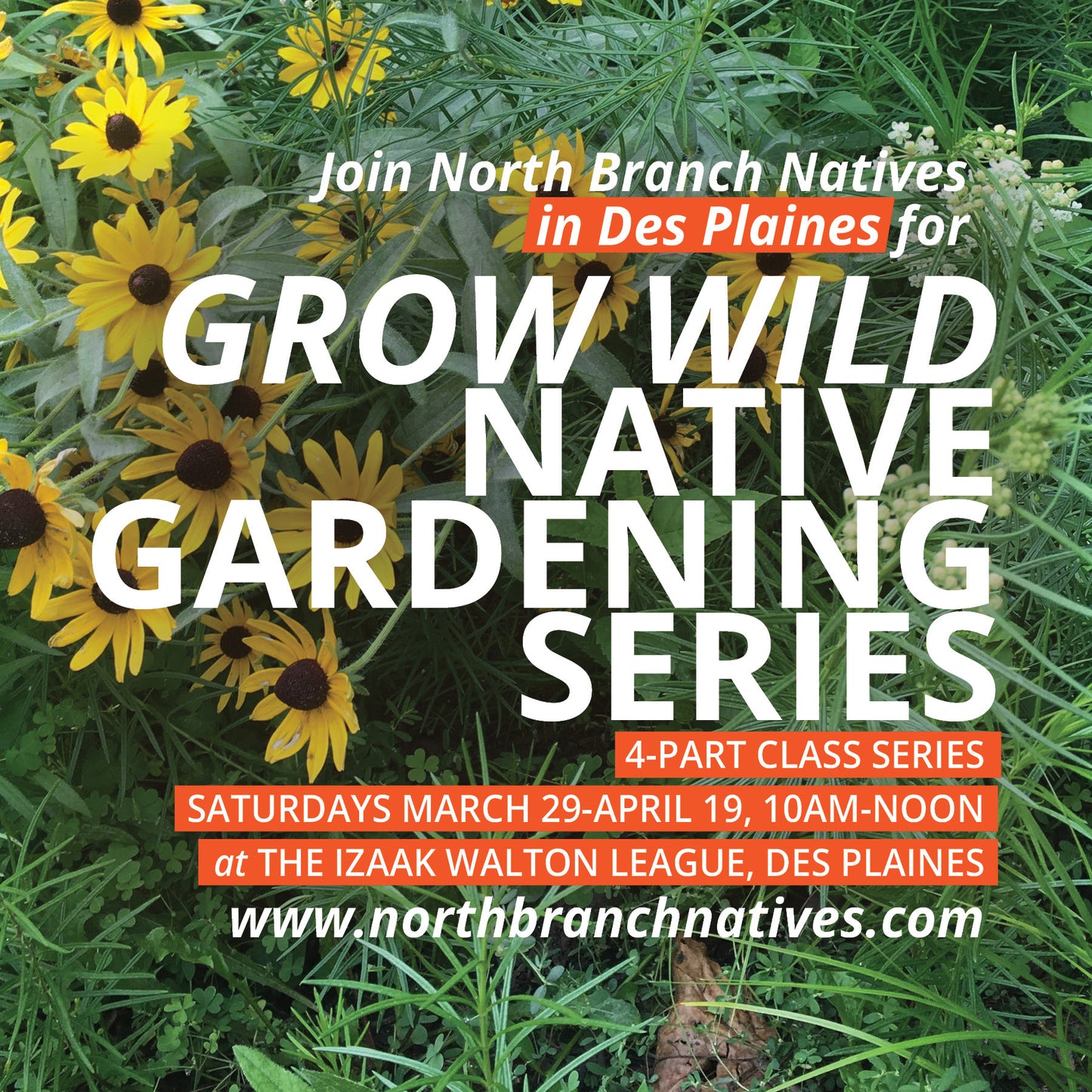 GROW WILD: Native Gardening Series